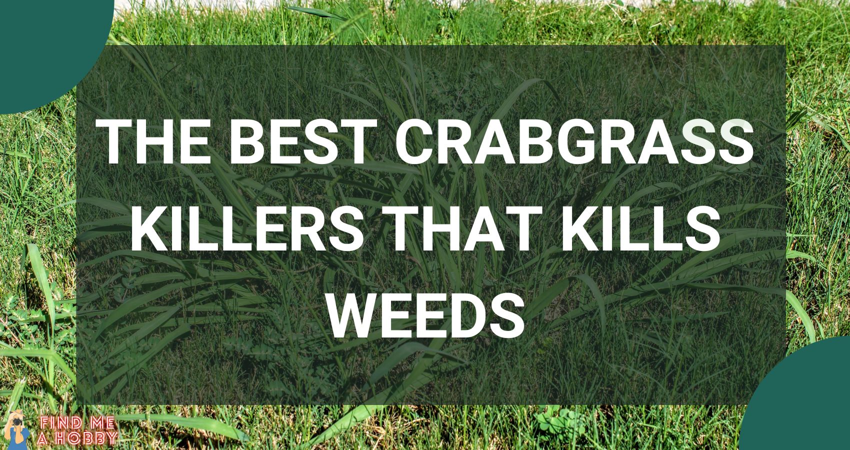 The Best Crabgrass Killers THAT KILLS WEEDS